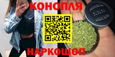 ешки Бийск