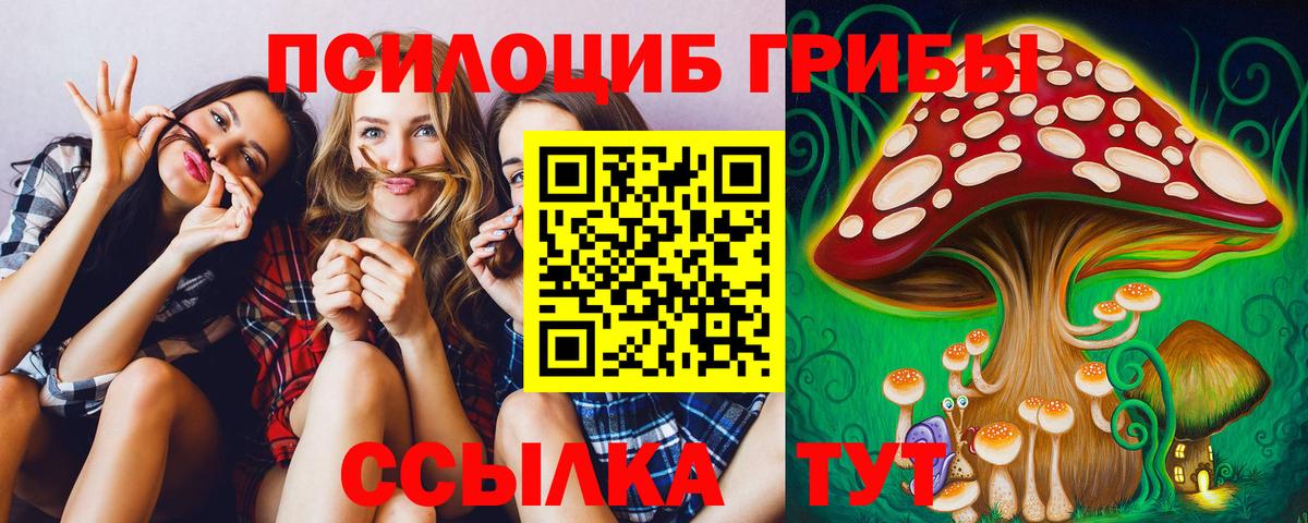 Галлюциногенные грибы Psilocybine cubensis Клинцы