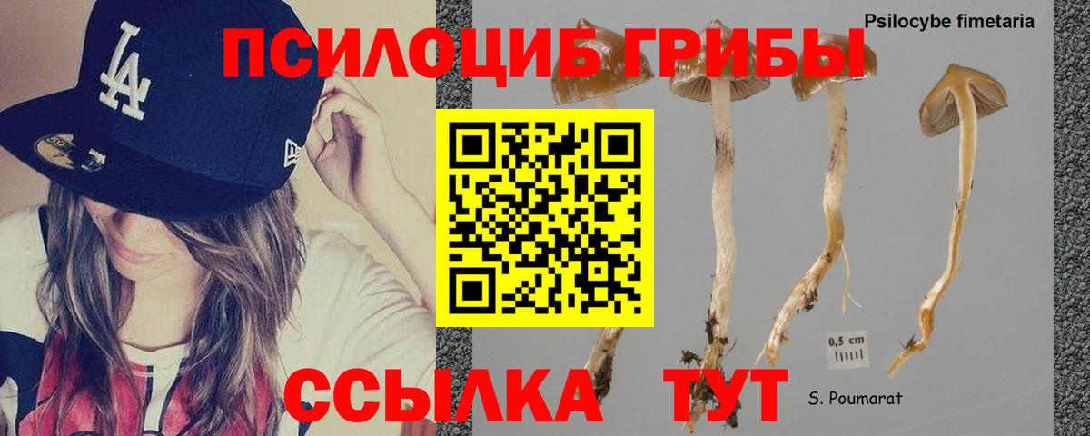 Псилоцибиновые грибы Psilocybine cubensis  Вход с VPN  Псилоцибиновые грибы Magic Shrooms  Клинцы 